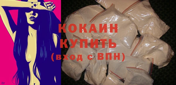 ECSTASY Бородино