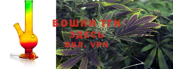 винт Верея
