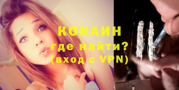 шишки Бронницы
