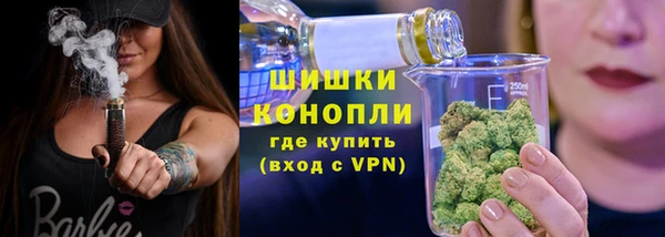 ECSTASY Бородино