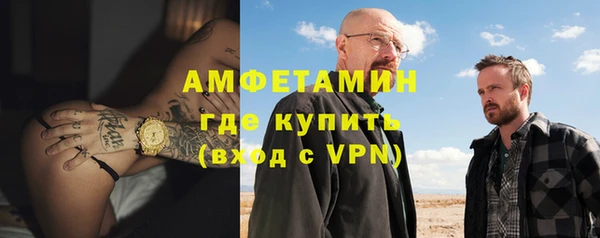 ECSTASY Бородино