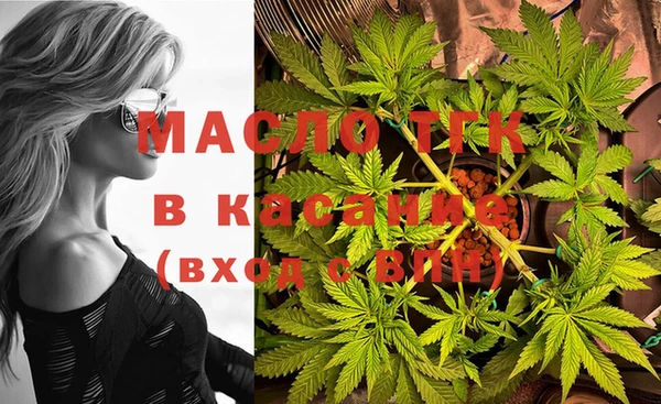 ECSTASY Бородино