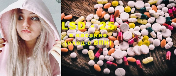 ECSTASY Бородино
