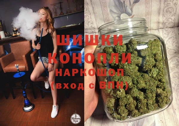 винт Верея