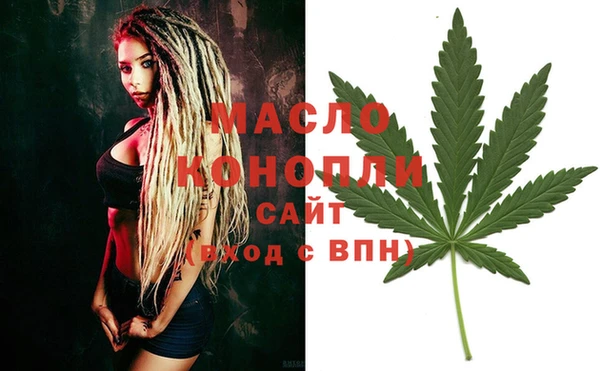 ECSTASY Бородино