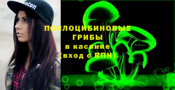 шишки Бронницы