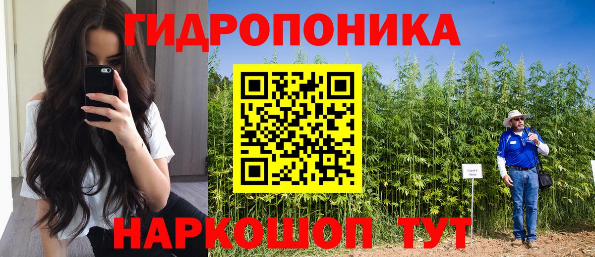 Каннабис AK-47  Каннабис сатива  Рузаевка  Вход с VPN 